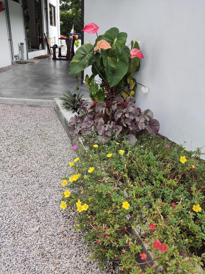 Riverside Mount Simpson Upper Beau Vallon  Exterior photo