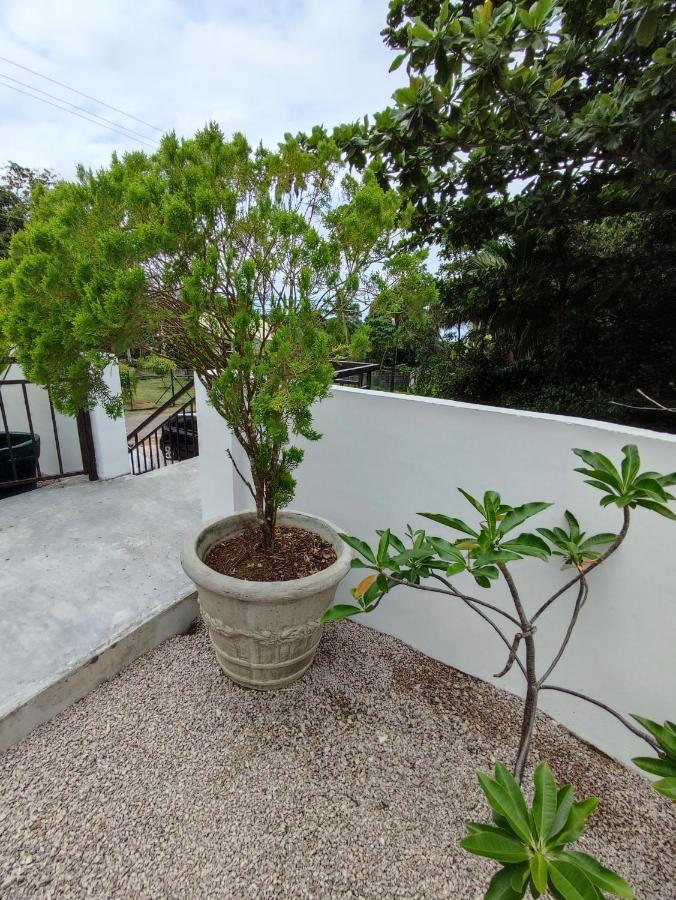 Riverside Mount Simpson Upper Beau Vallon  Exterior photo